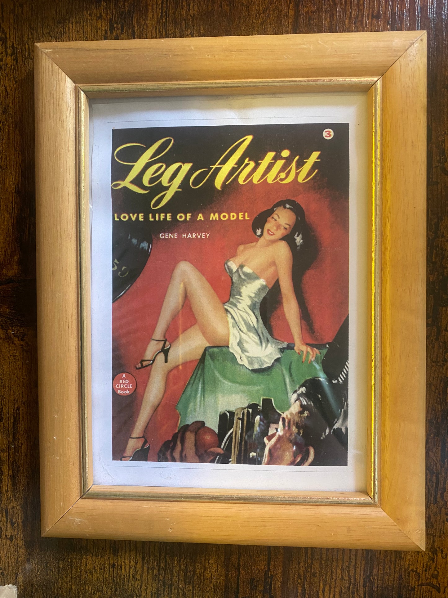 Small Framed Retro Pin-Up Poster | Vintage Book Cover Art